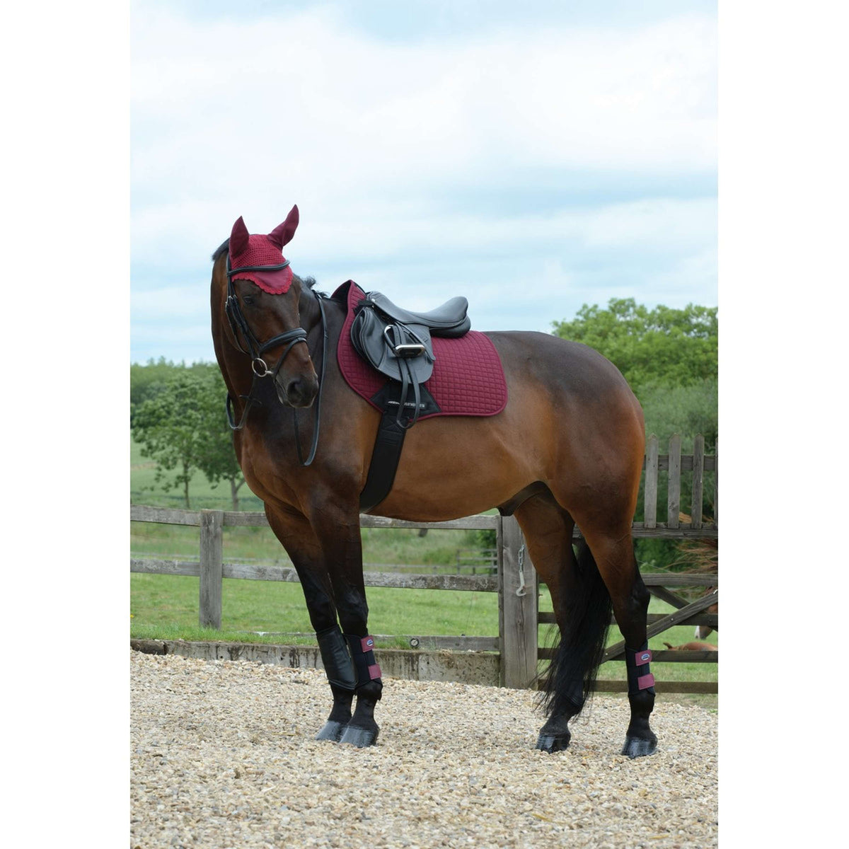 Weatherbeeta Manta Mixta Prime Maroon