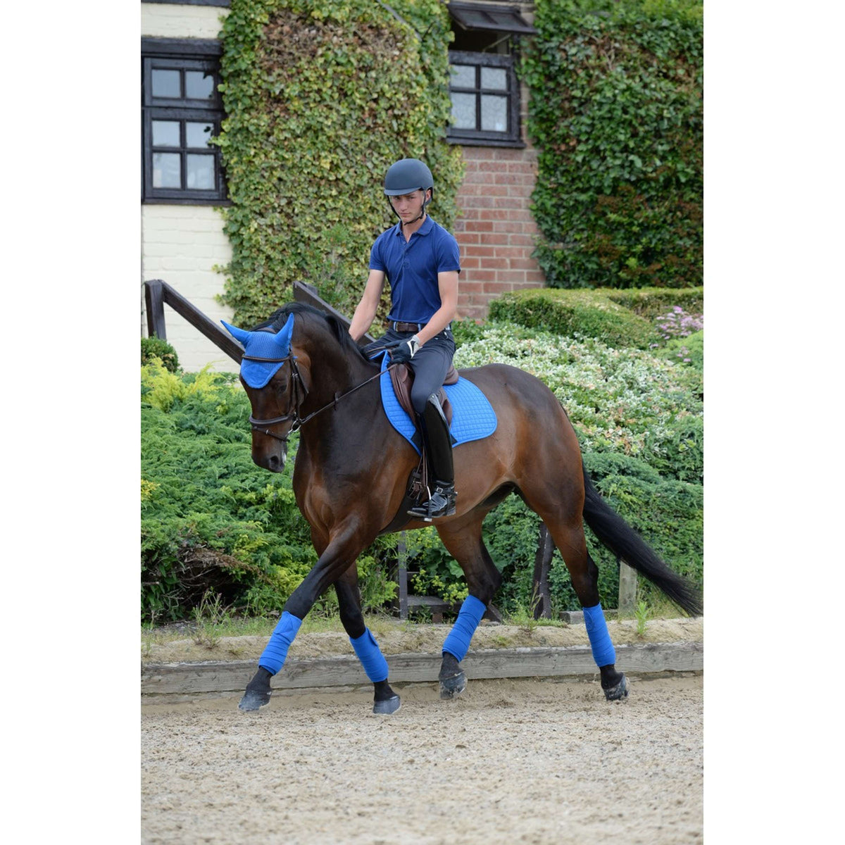 Weatherbeeta Mantilla de resorte Prime Royal Blue