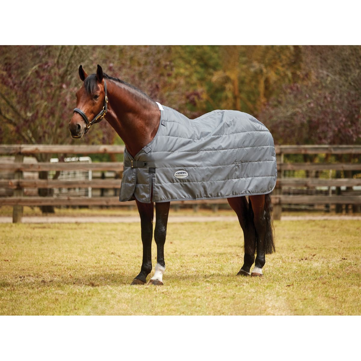 Weatherbeeta Manta de Invierno Comfitec Liner Medium/Lite Gris