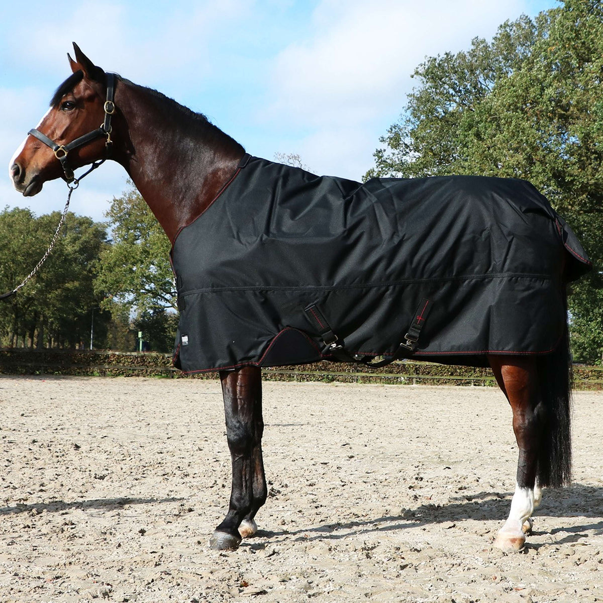 Eskadron Turnout Rug Gamma 840D 150g Negro