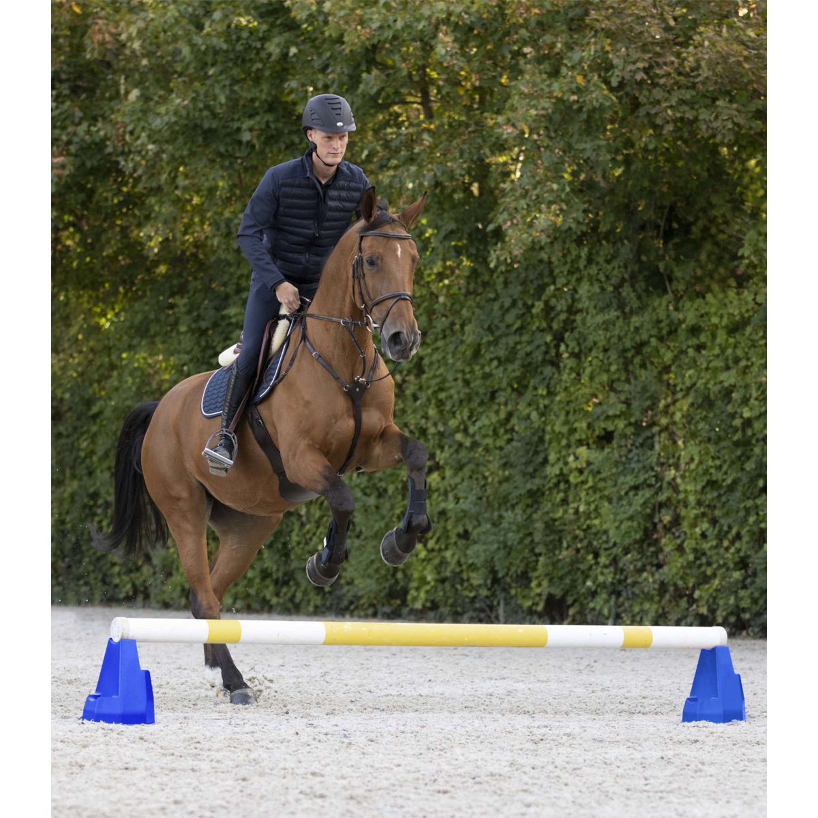 Waldhausen Bloques cavaletti Azul Waldhausen Bloques cavaletti Azul