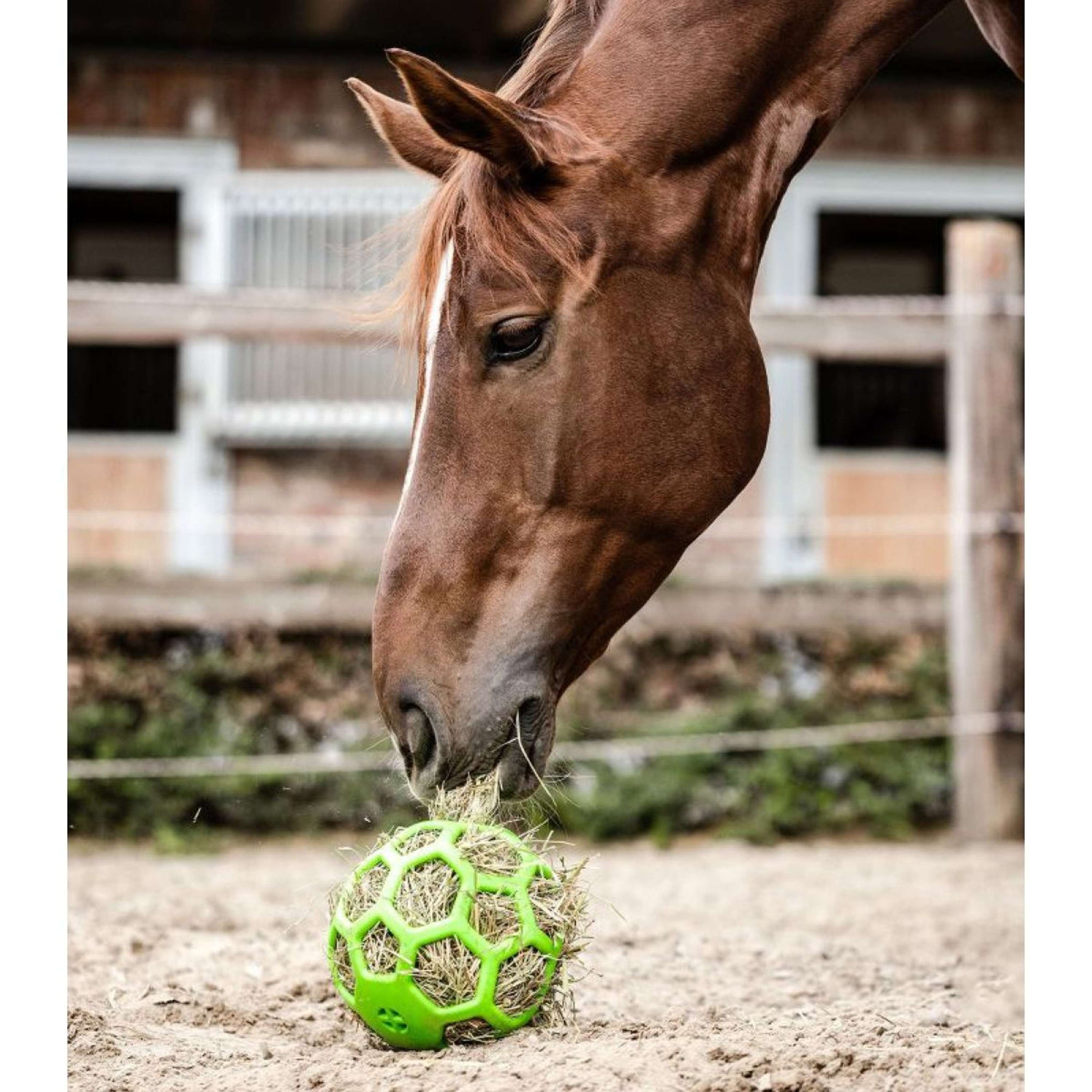 Waldhausen Bola de Heno Verde Waldhausen Bola de Heno Verde