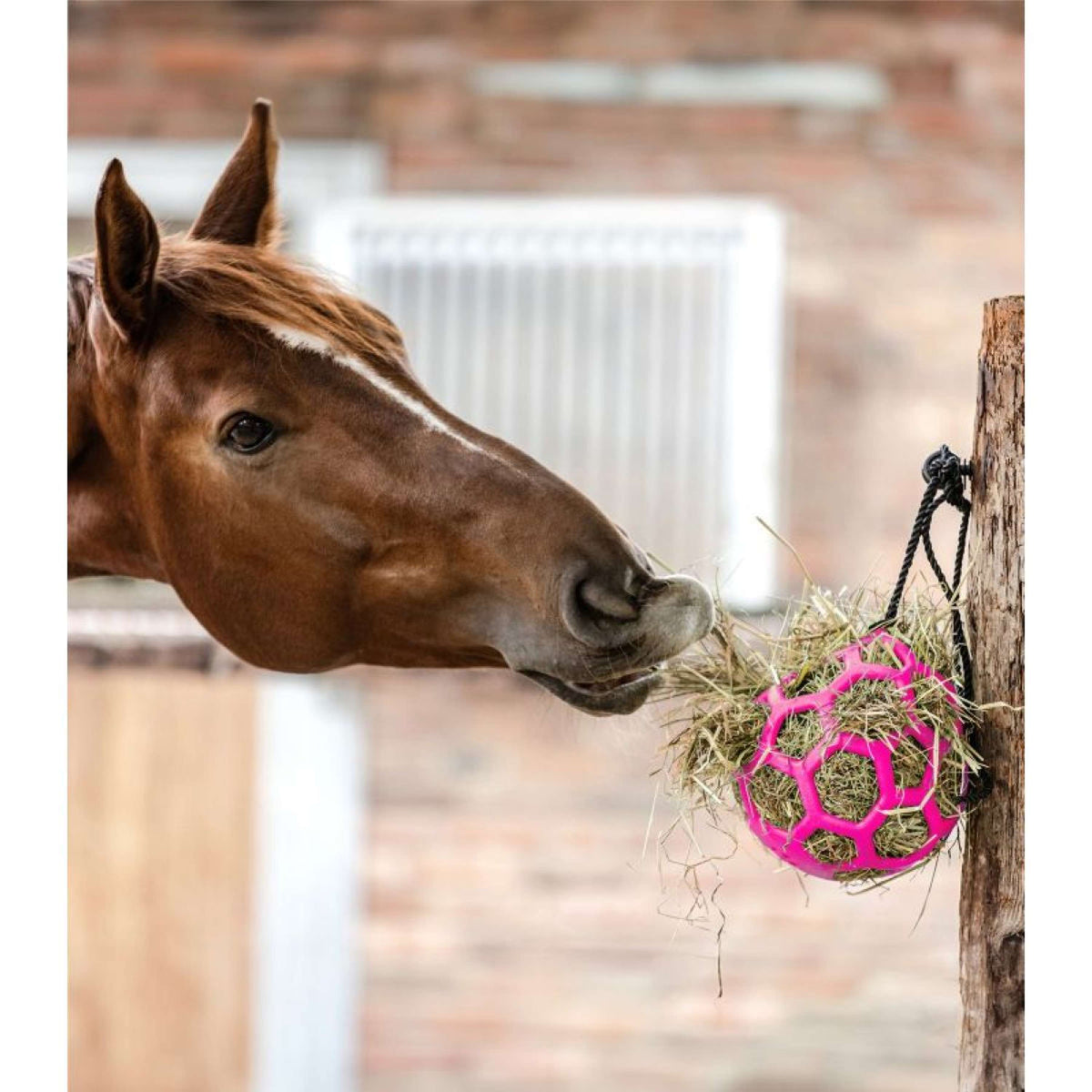 Waldhausen Bola de Heno Rosa