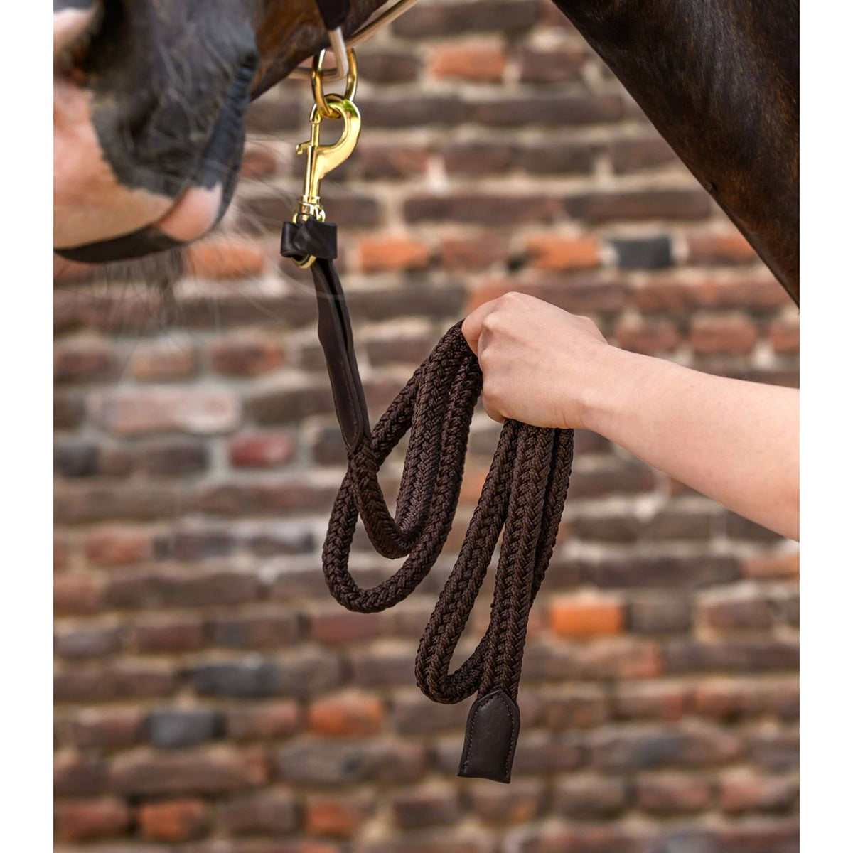 Waldhausen Cuerda de Cabestro Royal con Mosquetón Marron