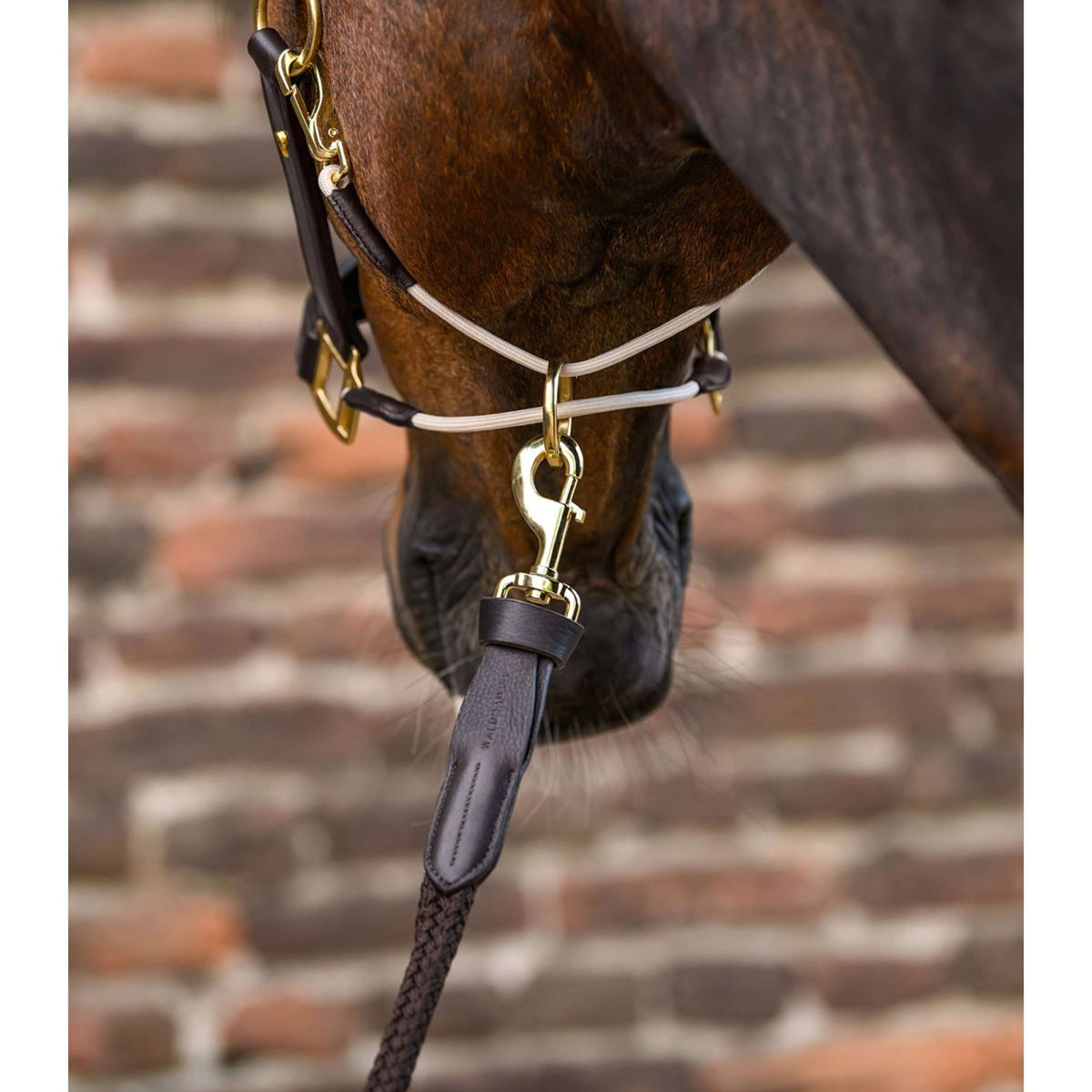 Waldhausen Cuerda de Cabestro Royal con Mosquetón Marron