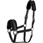 Waldhausen Cabestro First Negro