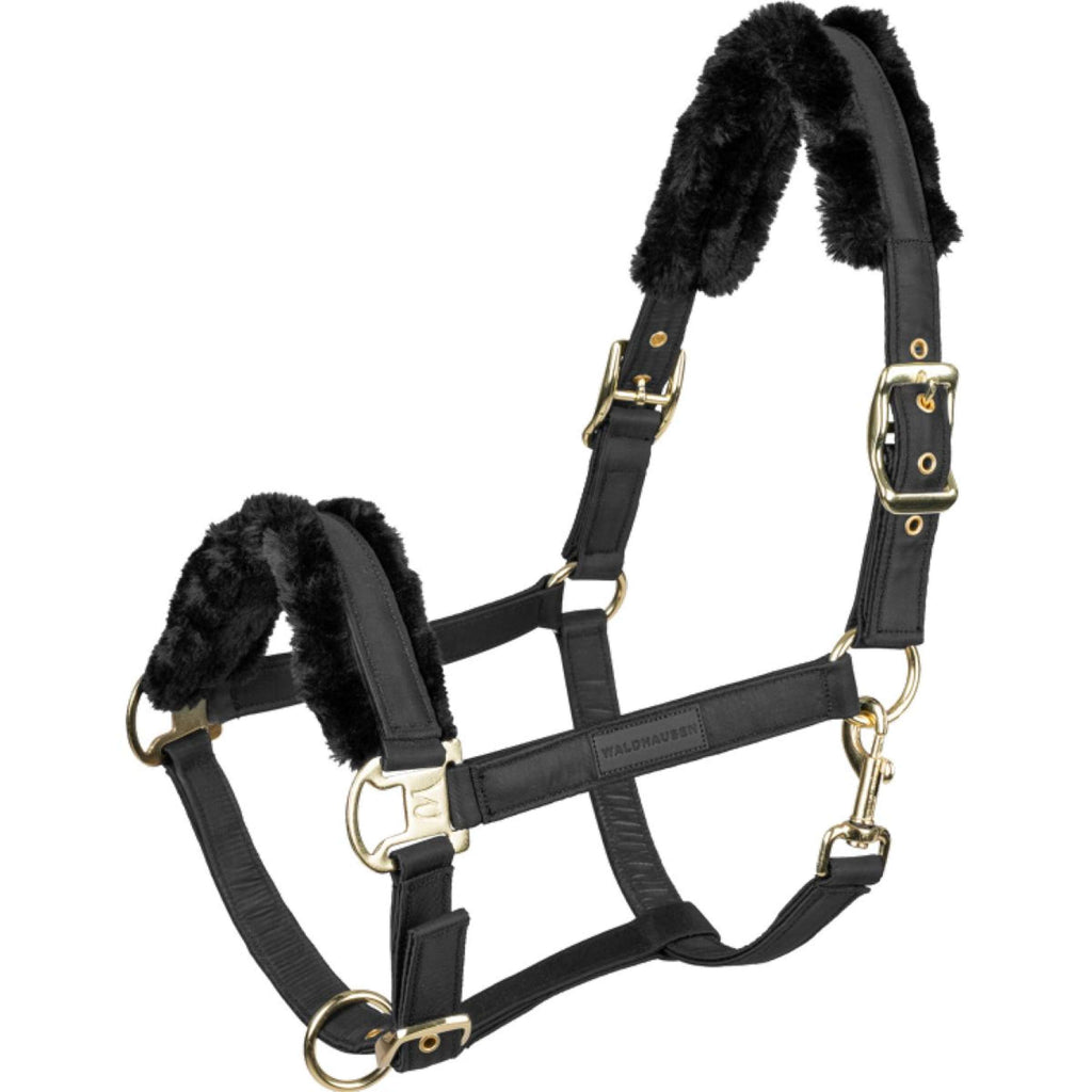Waldhausen Cabestro Exclusive Negro/Negro
