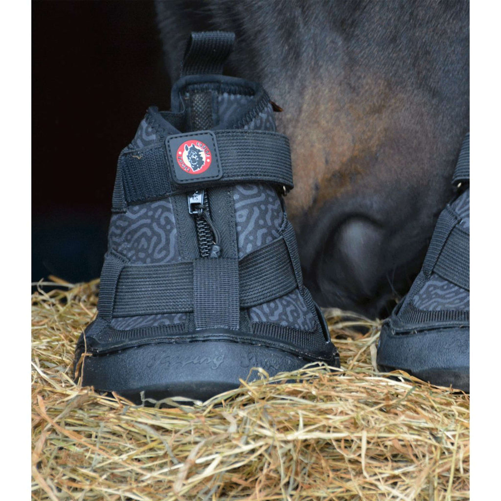 Equine Fusion Herradura 2.0