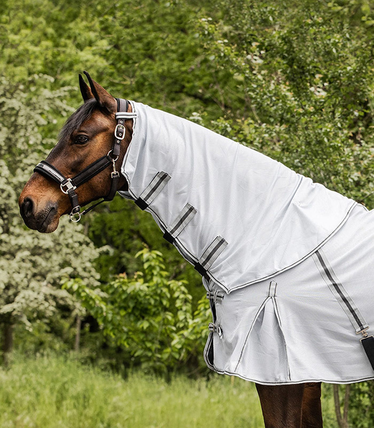 Waldhausen Cuello de Manta Antimoscas Protect Plata<>Gris