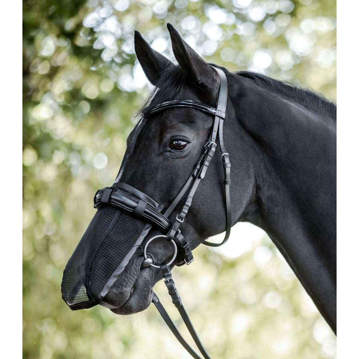 Waldhausen Red nasal Negro