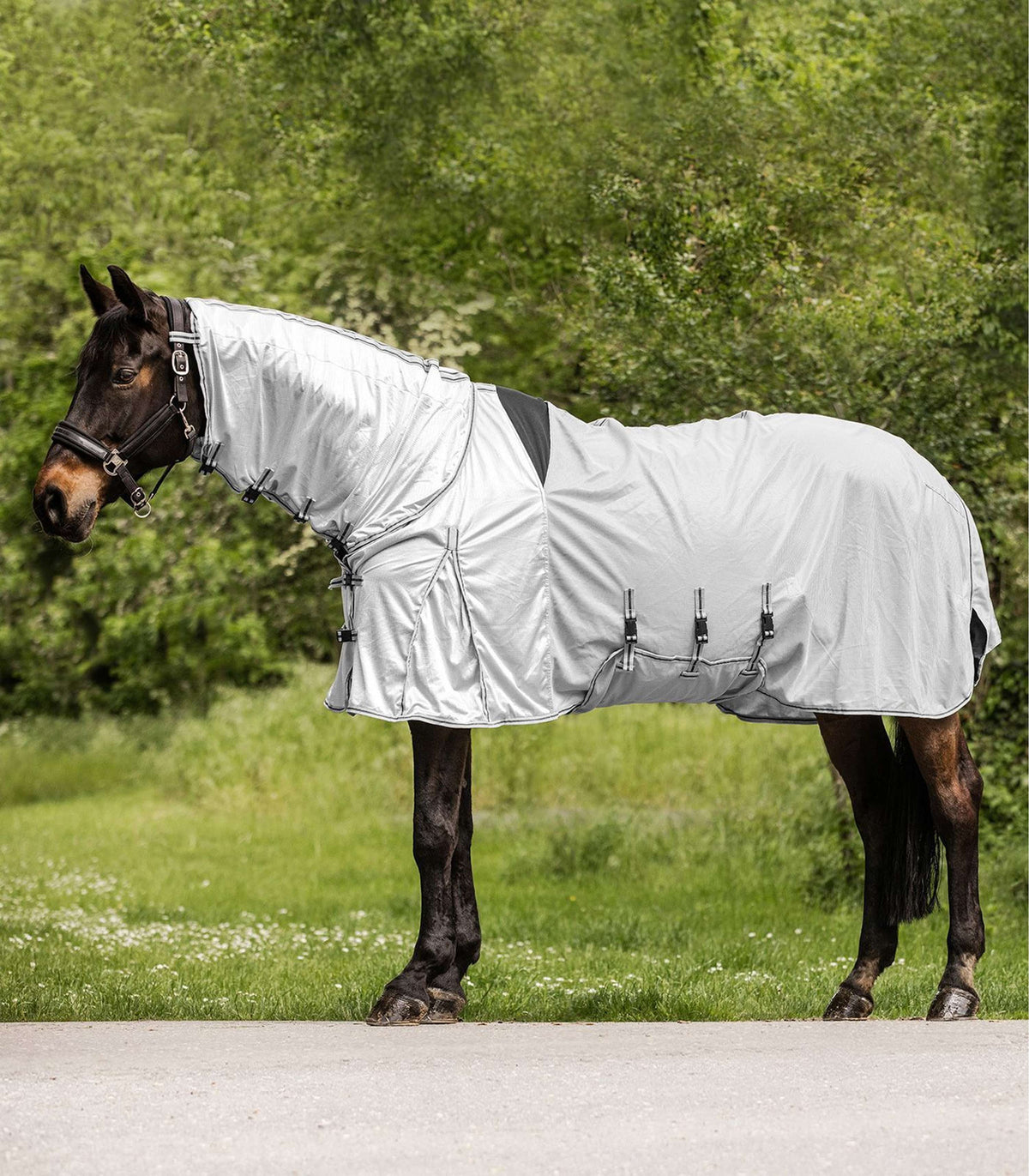Waldhausen Manta antimoscas/Eccema Protect Plata<>Gris