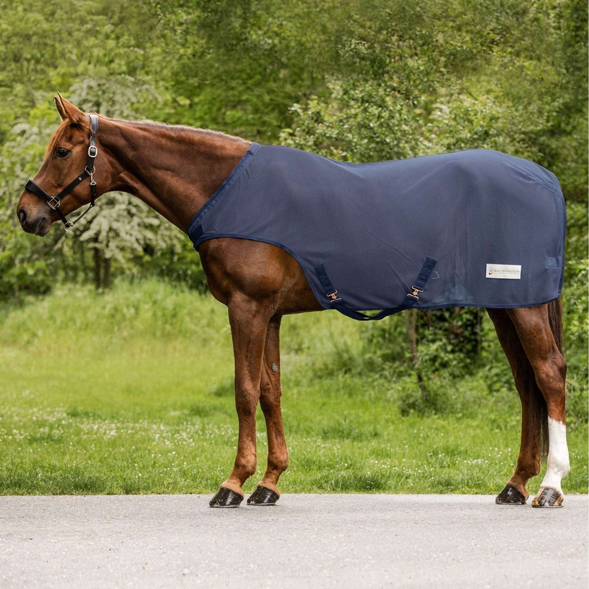 Waldhausen Manta para moscas/cinta de correr Comfort Azul Noche