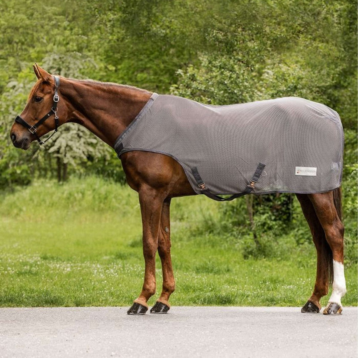 Waldhausen Manta para moscas/cinta de correr Comfort Gris