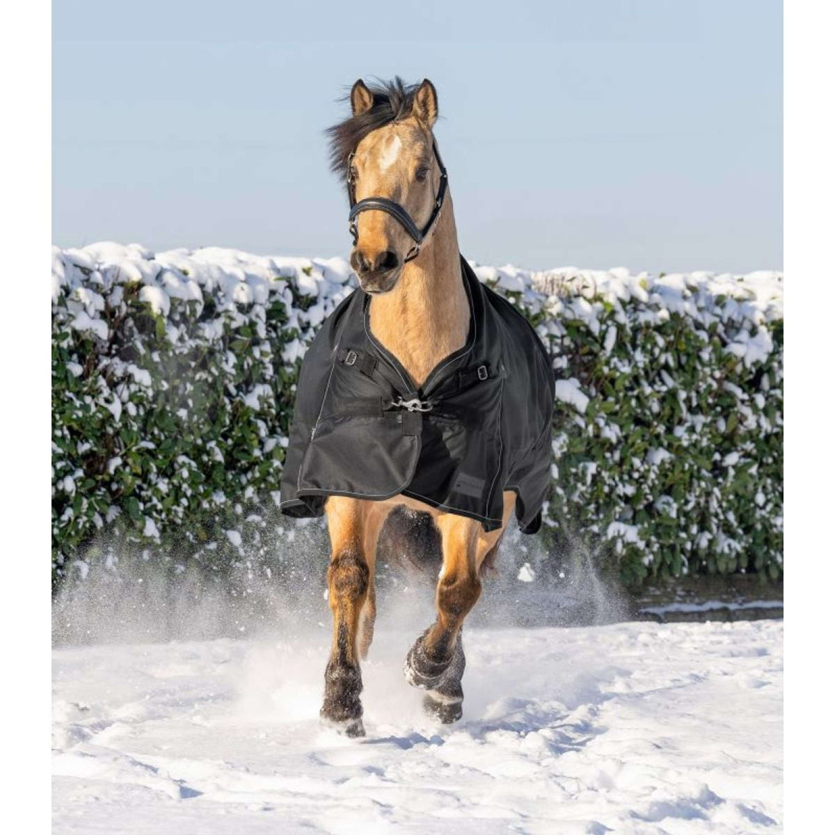 Waldhausen Alfombra de Exterior Scandic High Neck Light Negro