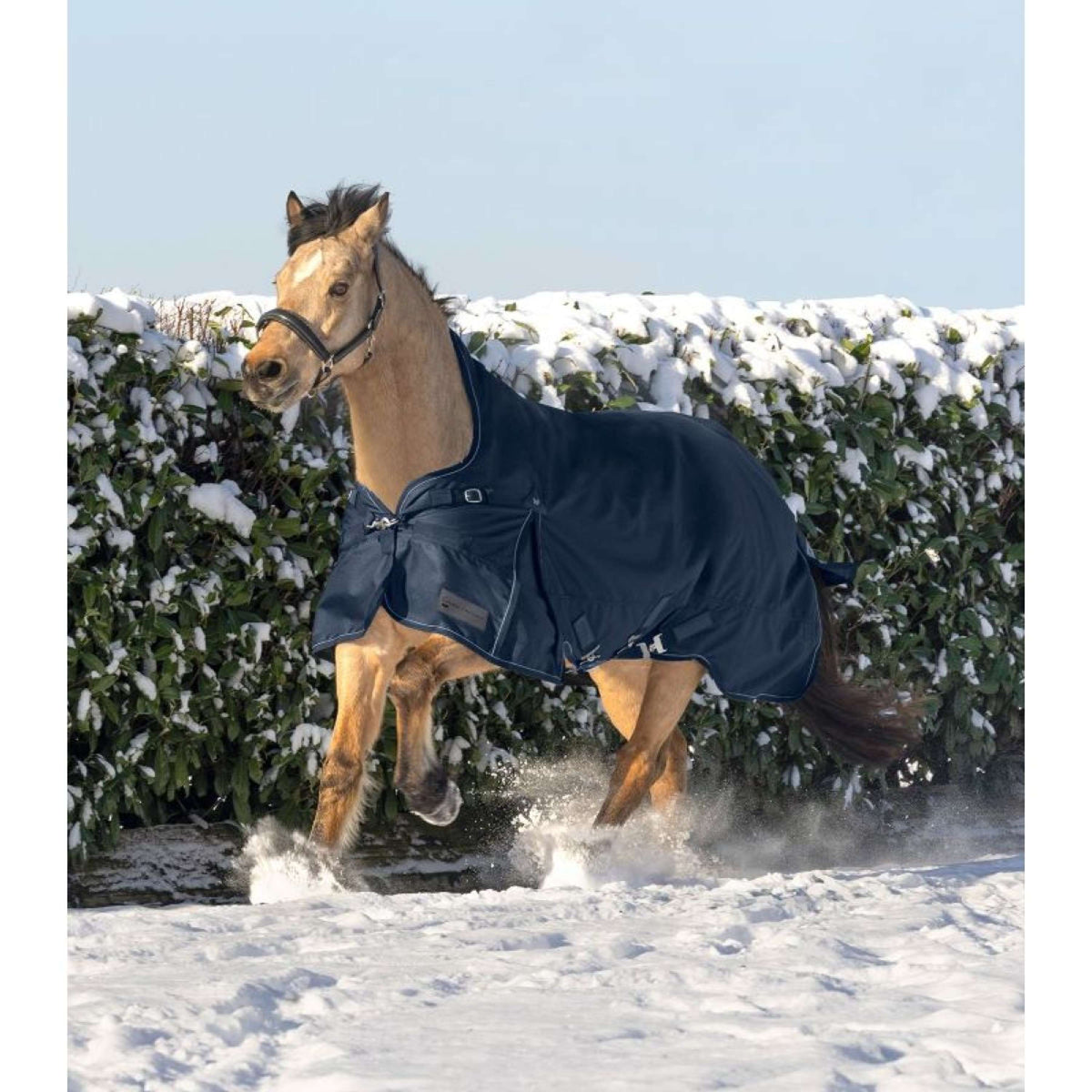 Waldhausen Alfombra de Exterior Scandic High Neck 200g Azul Noche