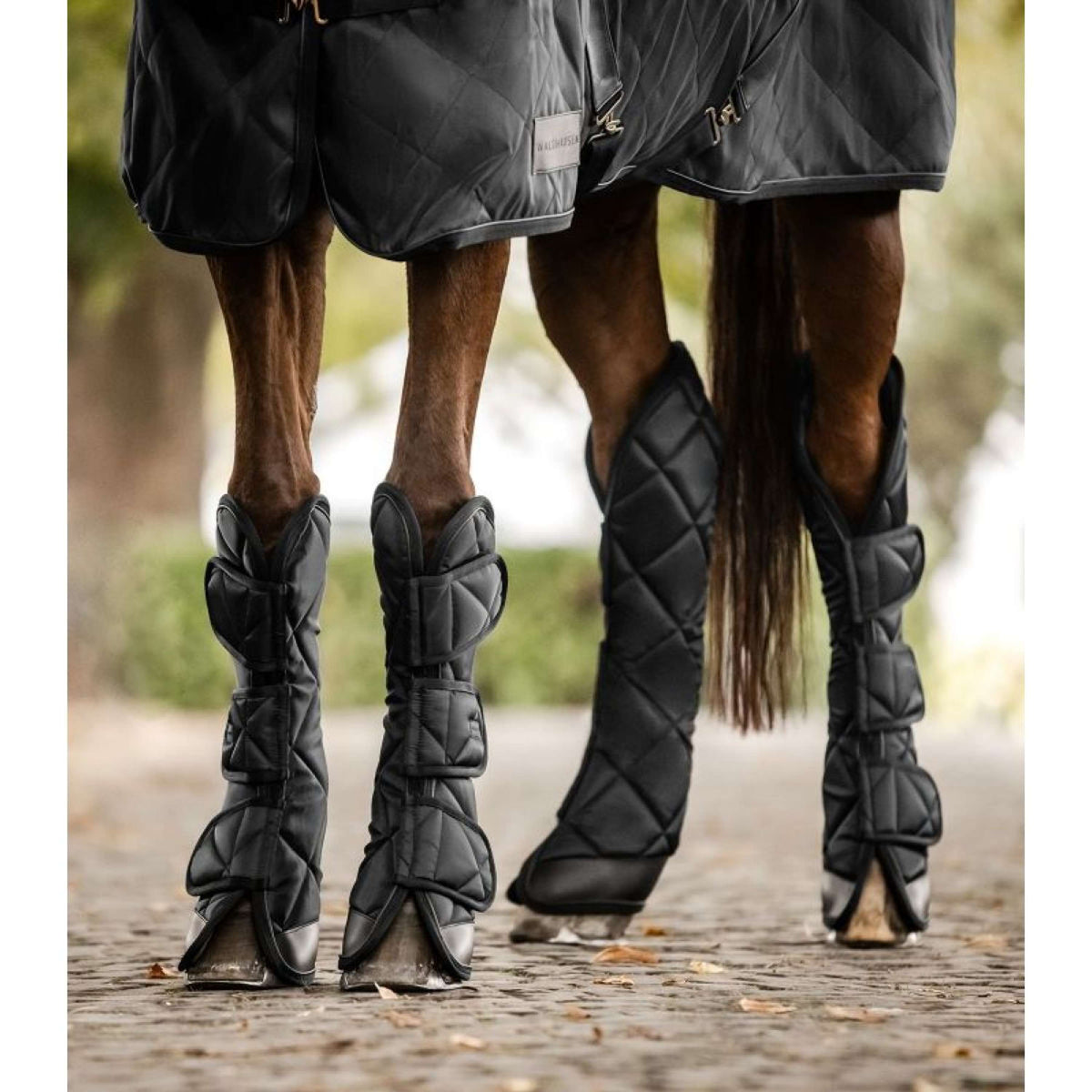 Waldhausen Protector de Transporte Exclusive Negro