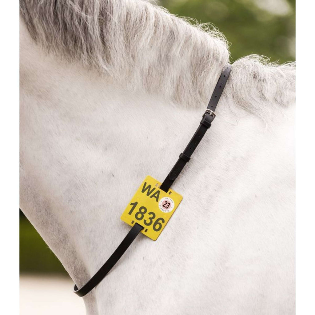 Waldhausen Correa de montar Negro