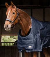 Waldhausen Protector de Pecho Azul/Negro