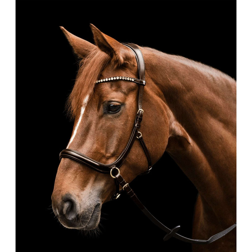 Waldhausen Brida X-Line Sensation Marron