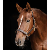 Waldhausen Cabezada Crystal Marron/oro