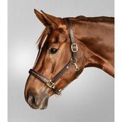 Waldhausen Cabezada Crystal Marron/oro