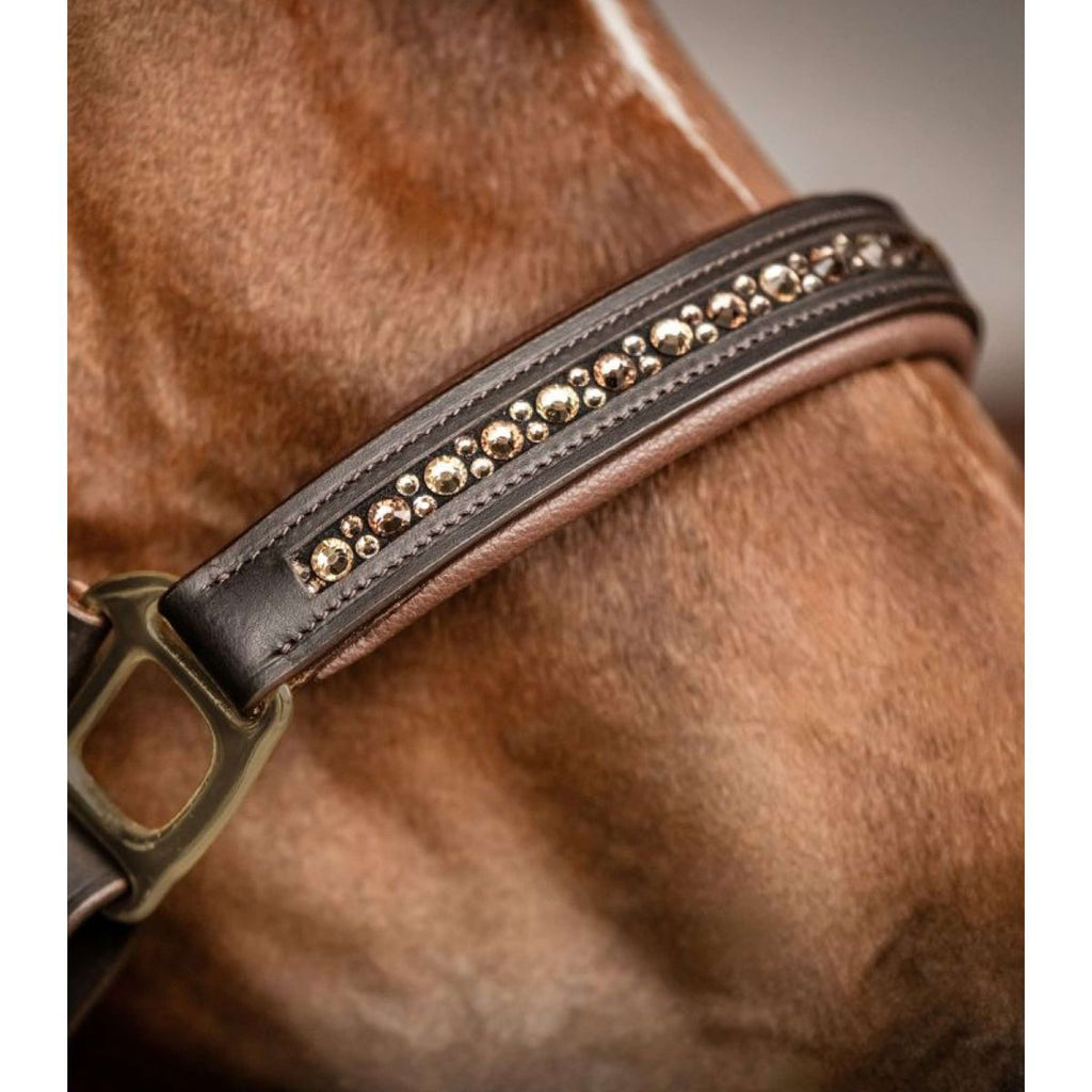 Waldhausen Cabestro Crystal Cuero Marron/oro