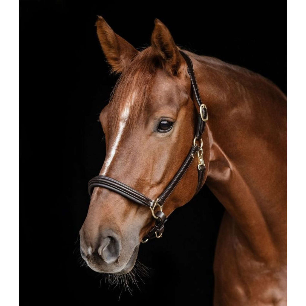 Waldhausen Cabestro S-Line Classy Cuero Marron