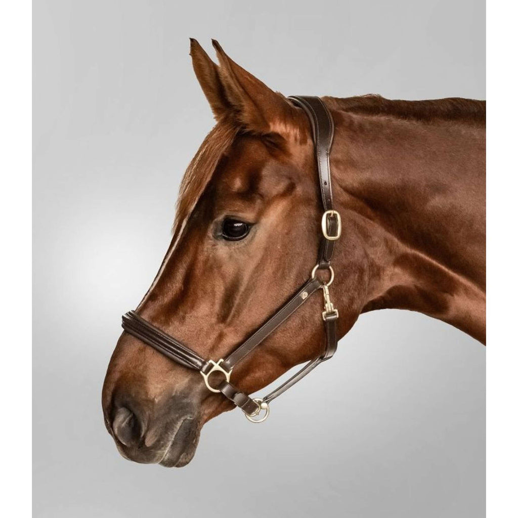 Waldhausen Cabestro S-Line Classy Cuero Marron