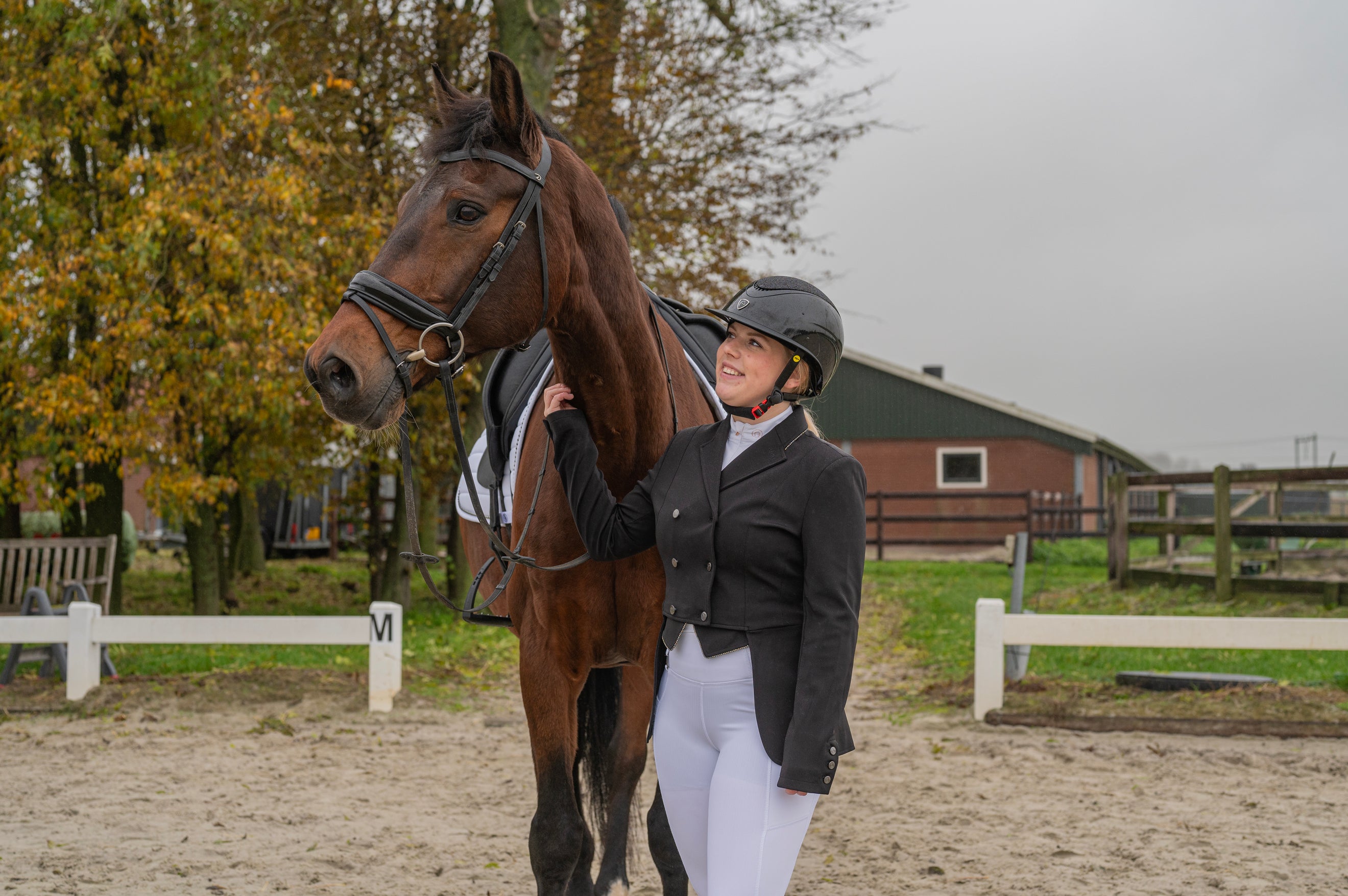 Set De Competición Para Caballo