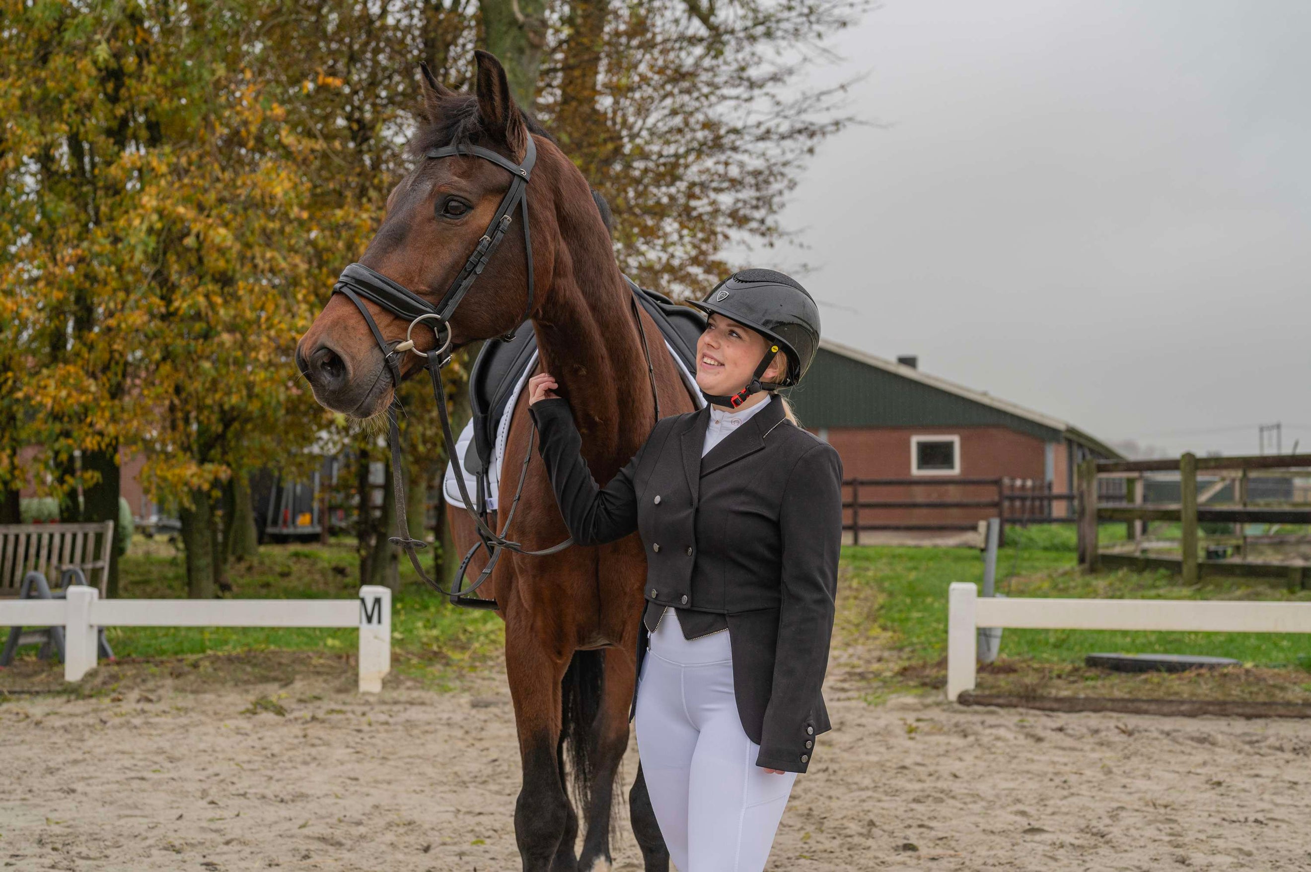 Set De Competición Para Caballo