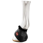 Zandona Botas de Campana Carbon Air Negro