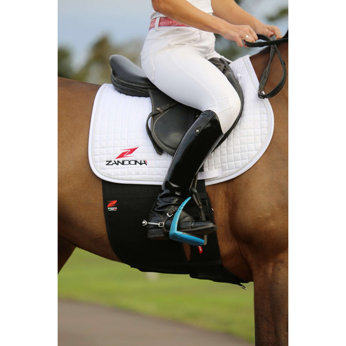 Zandona Banda Posparto Superior Chafe Guard Evo Negro