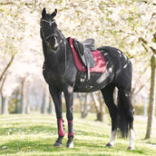 Imperial Riding Mantilla IRHJosie Doma clásica Fig