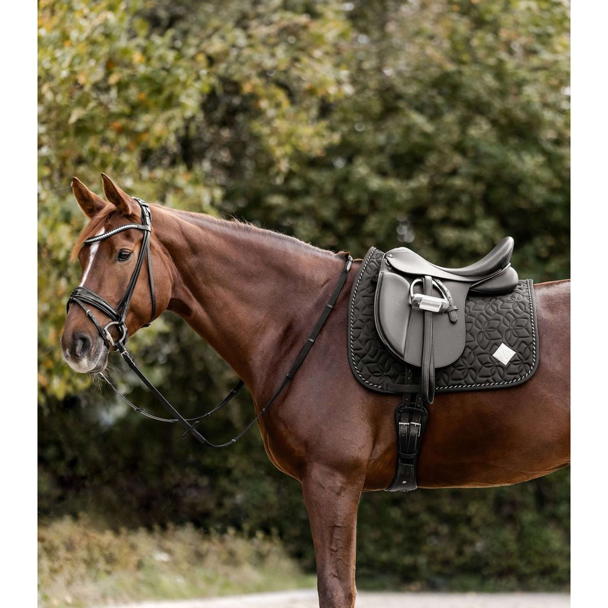 Waldhausen Mantilla Marseille Doma Negro