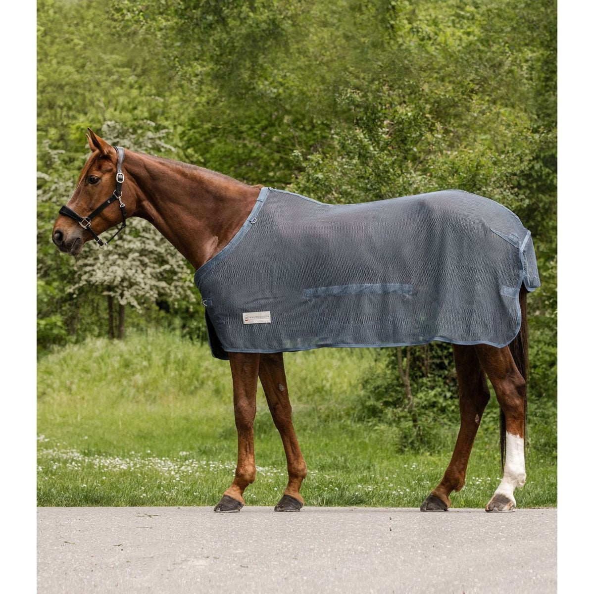Waldhausen Manta Antimoscas Comfort con protector de clavos Chalk Blue