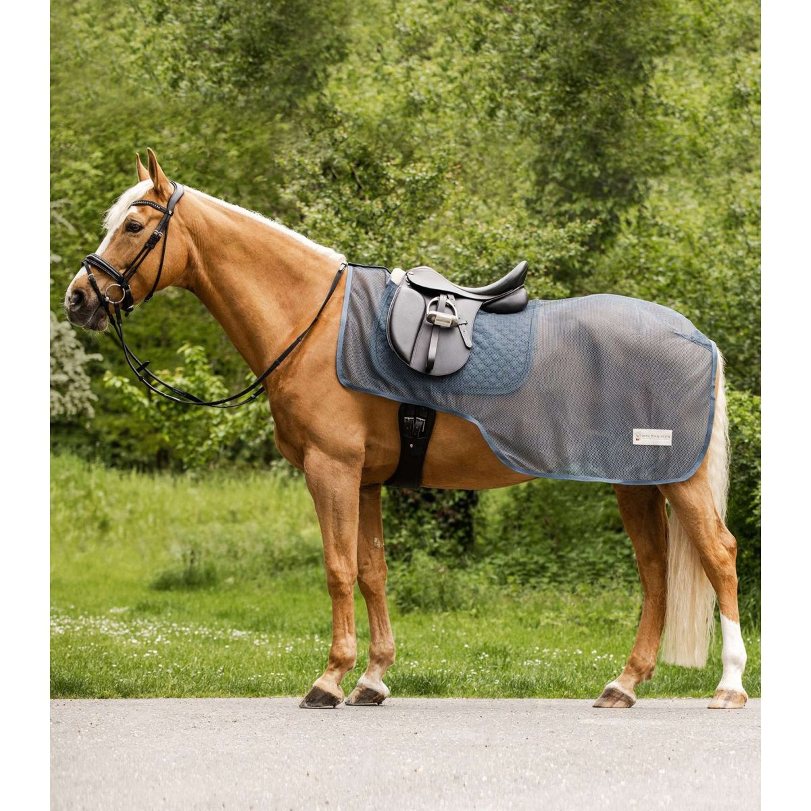 Waldhausen Manta antimoscas para montar Comfort Chalk Blue Waldhausen Manta antimoscas para montar Comfort Chalk Blue