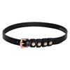 Imperial Riding Correas para espuelas IRHPardouz Negro/Oro rosa