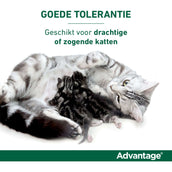 Advantage Advantage 80 Spot-On Gato 4-8kg
