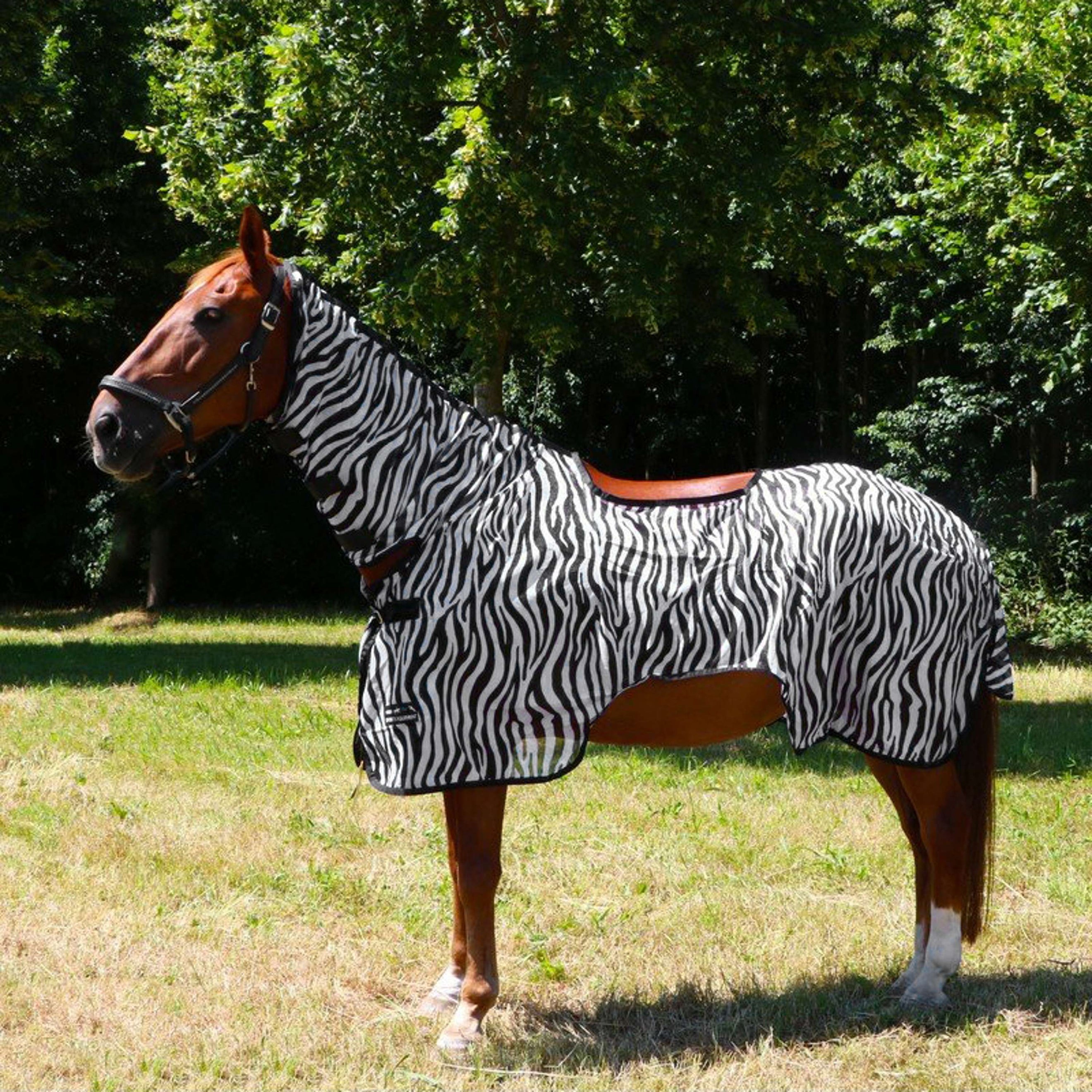 HKM Manta de ejercicio Moscas Zebra HKM Manta de ejercicio Moscas Zebra