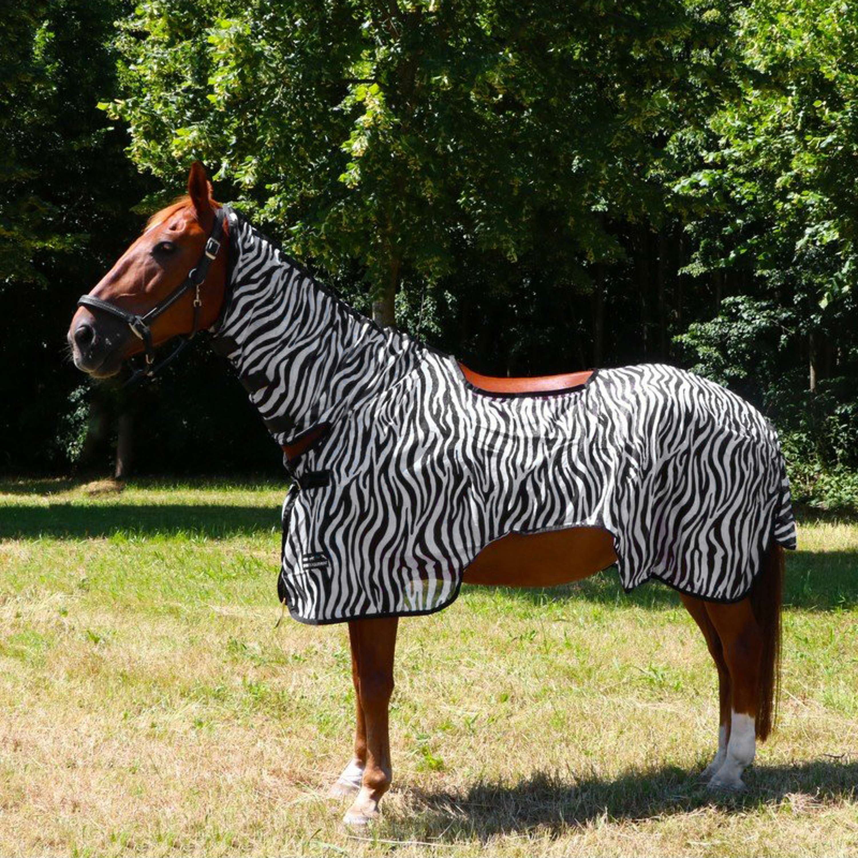 HKM Manta de ejercicio Moscas Zebra