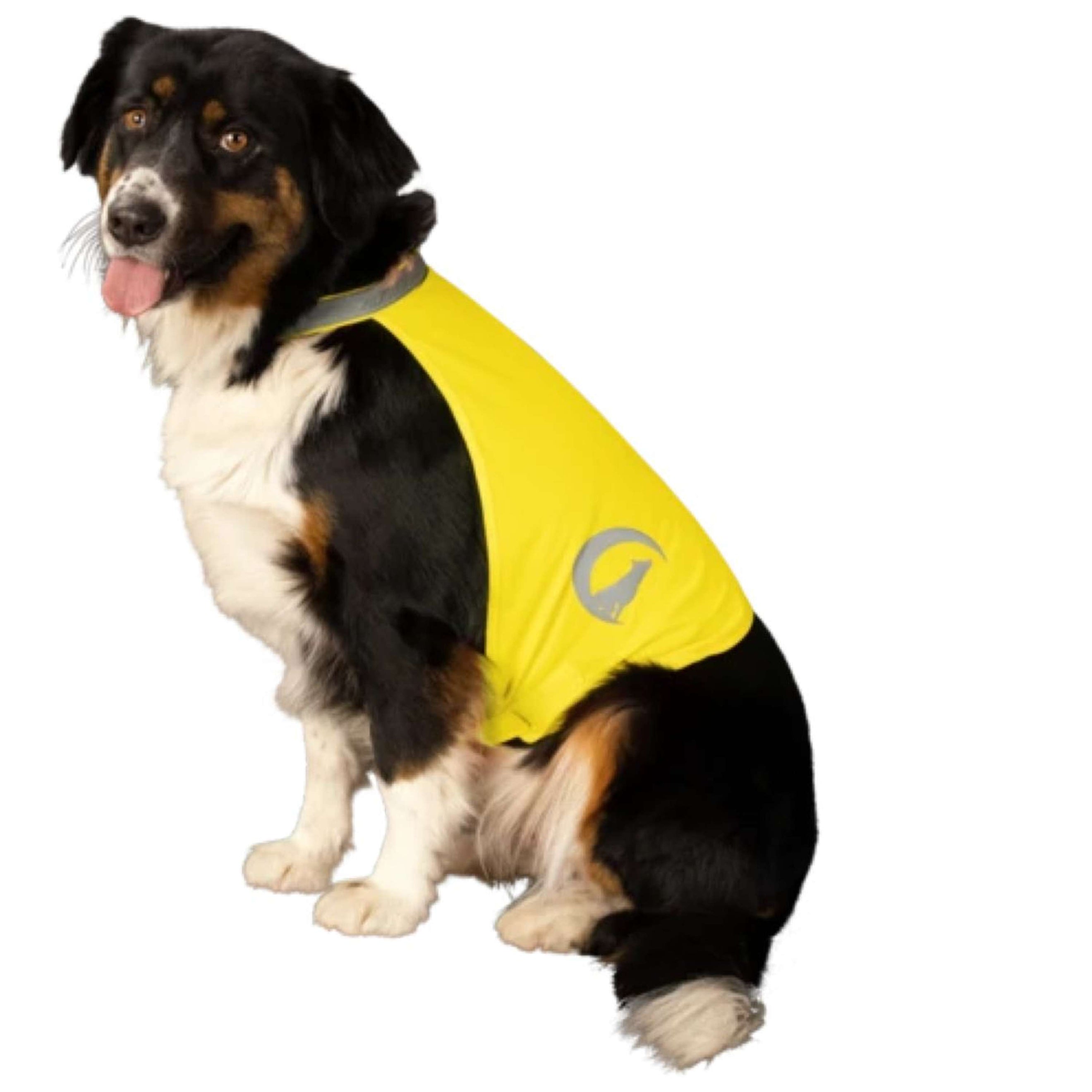 Excellent Dog Safety Vest Nightwalk Amarillo Excellent Dog Safety Vest Nightwalk Amarillo