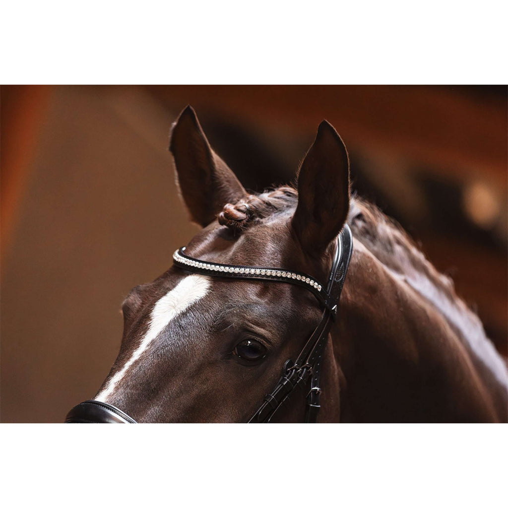 ANKY Brida Profi ATH25001 Anatomisch Negro