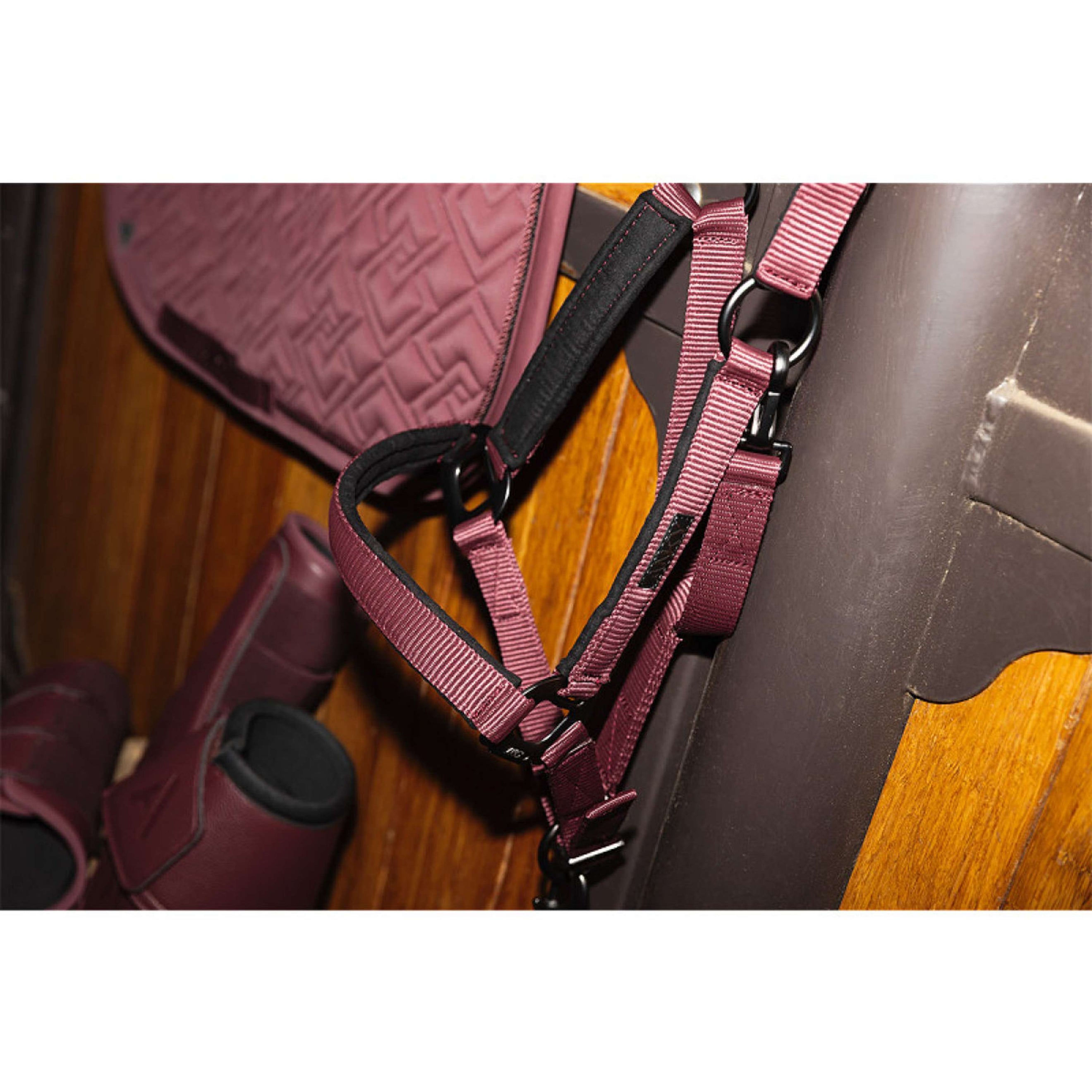 ANKY Juego de Cabestro ATH26001 3C Sassafras