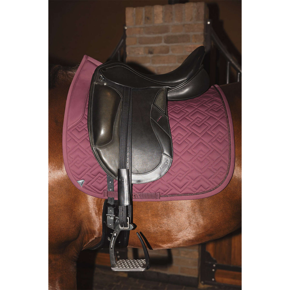 ANKY Mantilla Professional XB25001 3C Doma clásica Sassafras