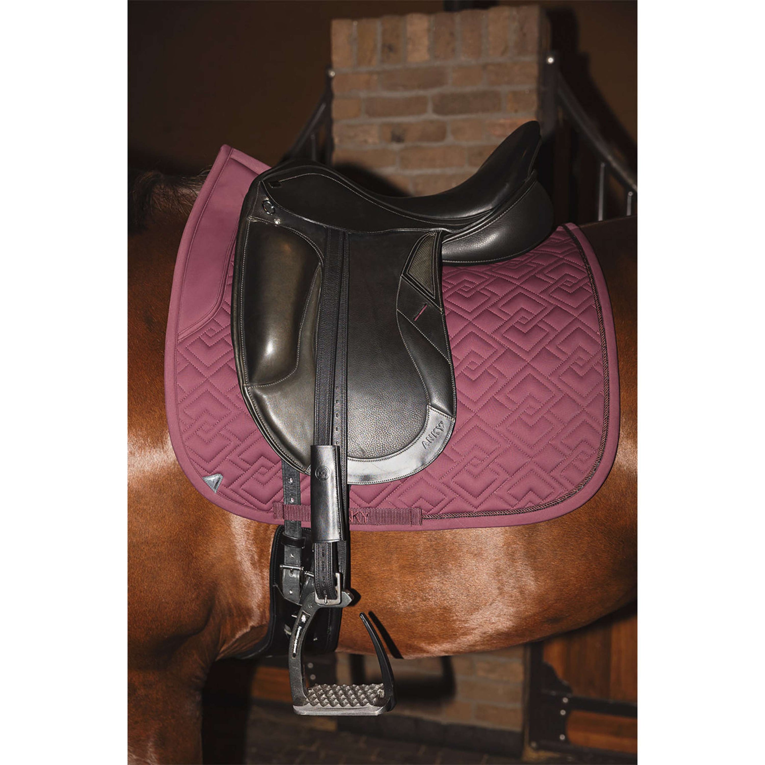 ANKY Mantilla Professional XB25001 3C Doma clásica Sassafras
