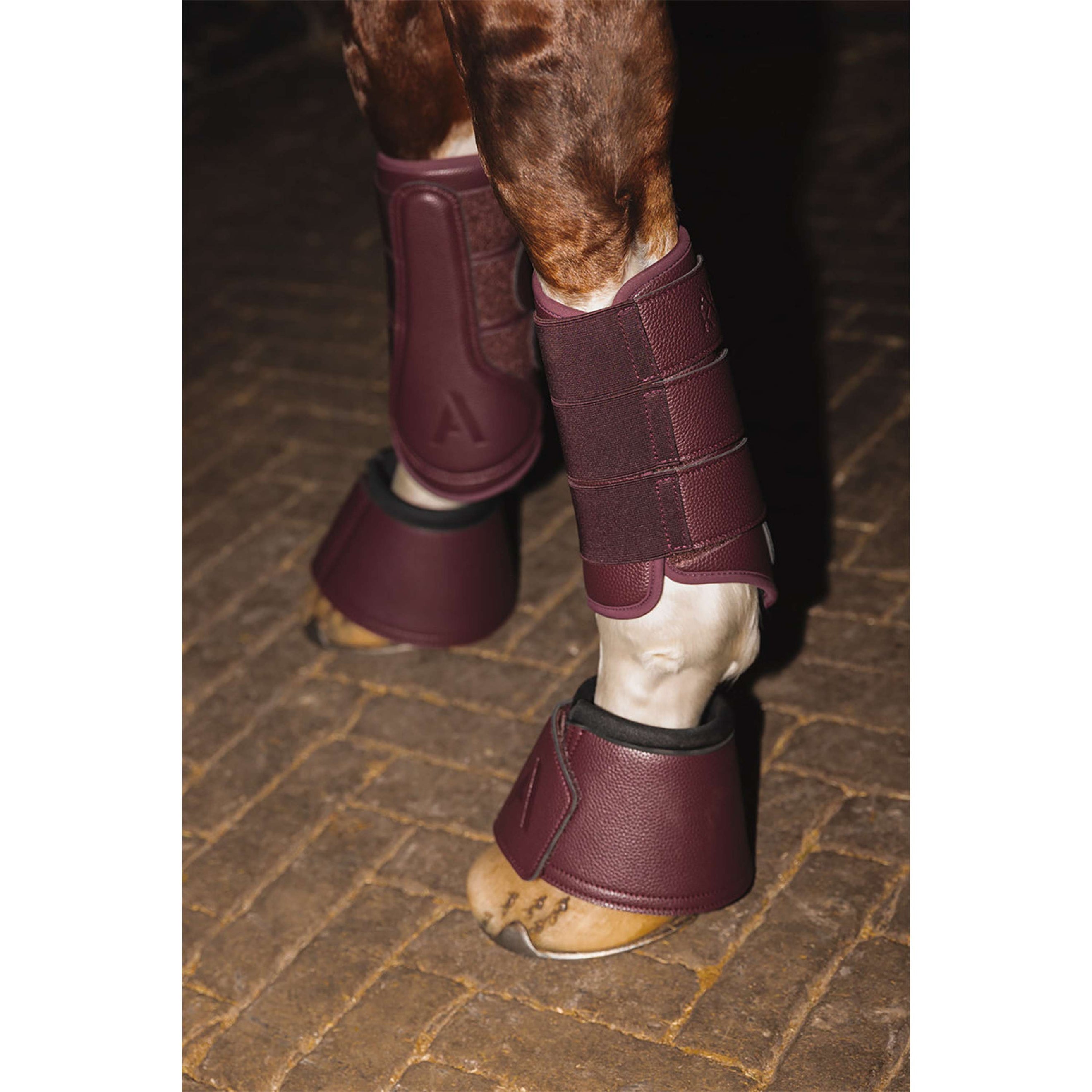 ANKY Dressage Boots ATB25005 3C Sassafras ANKY Dressage Boots ATB25005 3C Sassafras