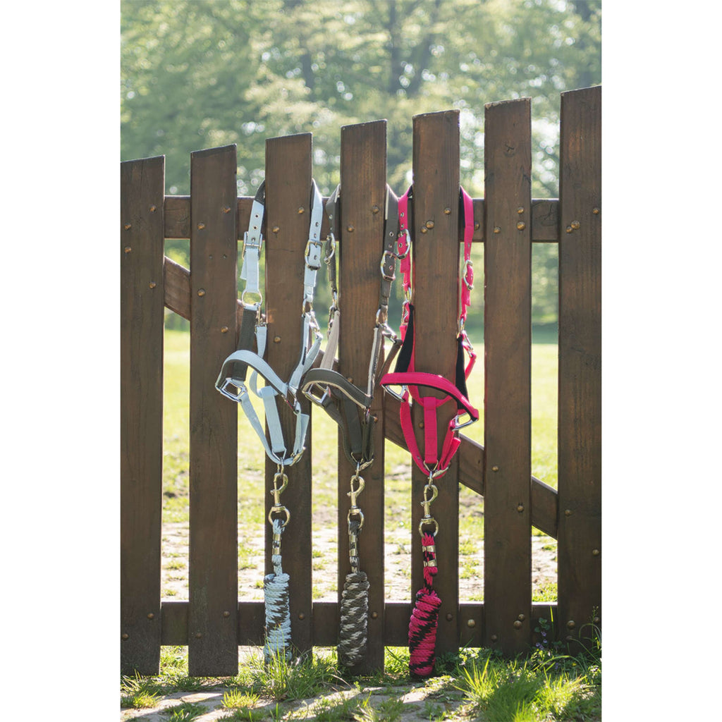ANKY Juego de Cabestro ATH261001 Bungee Cord