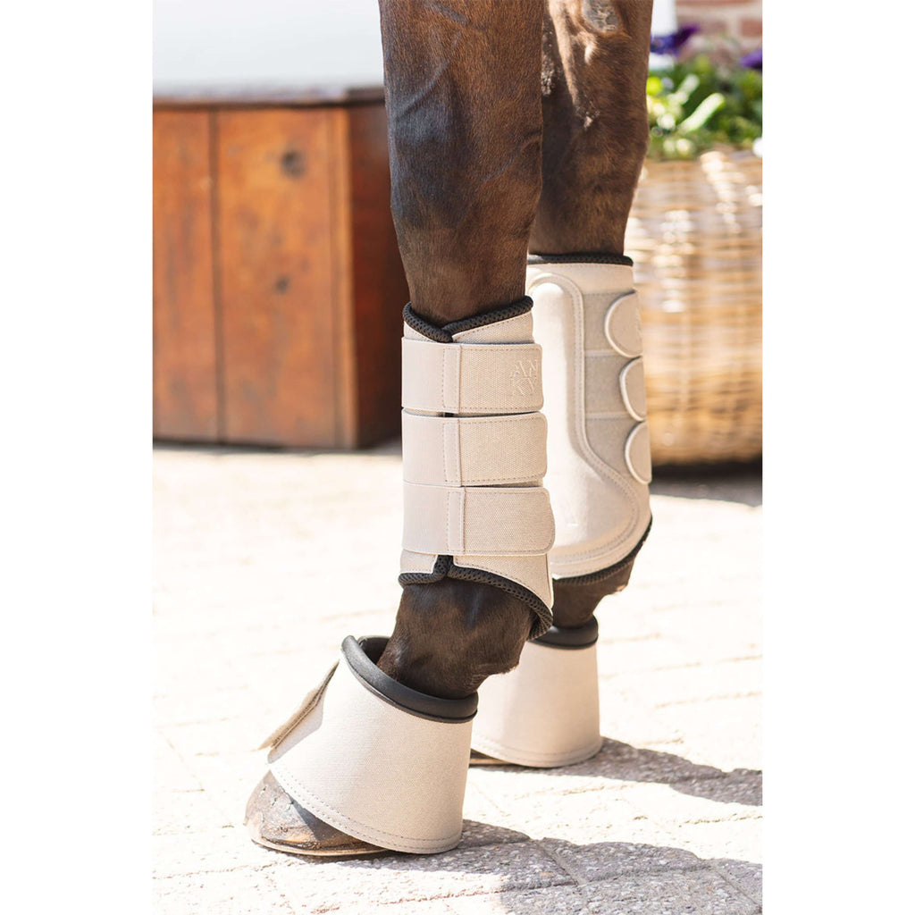 ANKY Botas para Caballos Bell ATB261003 Island Fossil