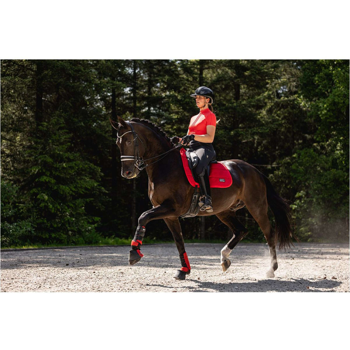 ANKY Legging de Equitación Streaming Full Grip Negro