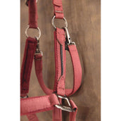 ANKY Juego de Cabestro AW25 Windsor Wine